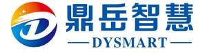 Jiangsu Dingyue Intelligent Information Technology Co., Ltd.